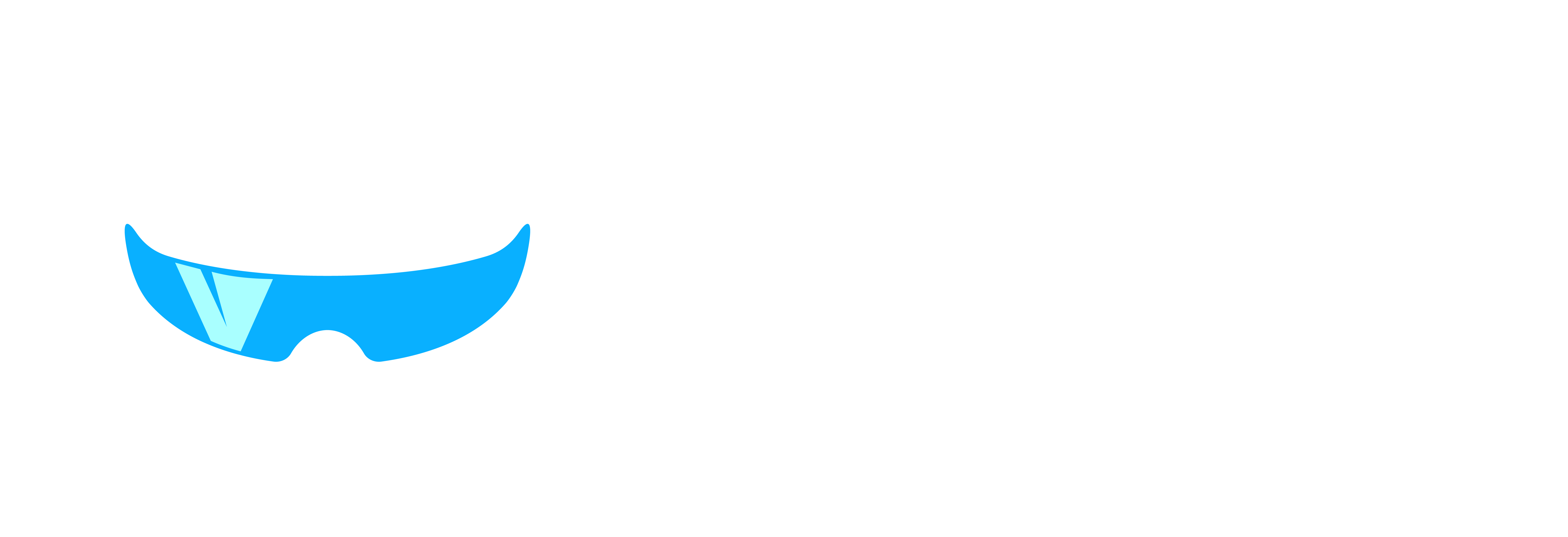 Visqa